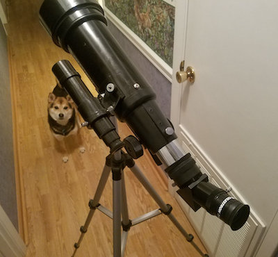 Telescopio CELESTRON Travel Scope 70 C21