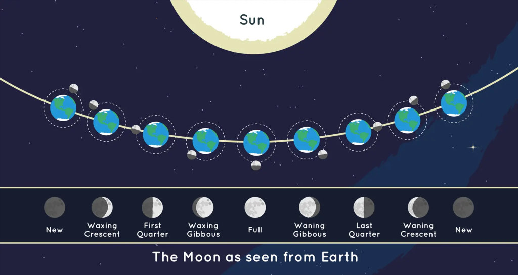 phases of the moon and their relative positions in the Earth-Moon-Sun system.